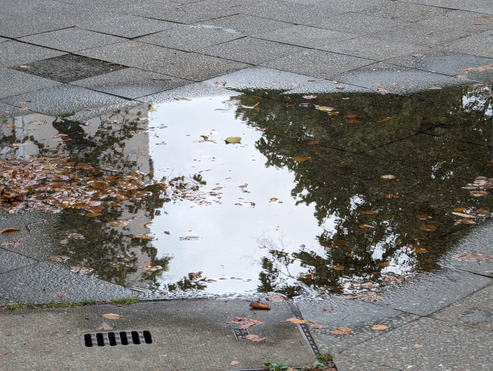 Im Alltag gibt es bei Tageslichtaufnahmen nicht allzu viele Unterschiede zwischen dem Pixel 8 Pro ...